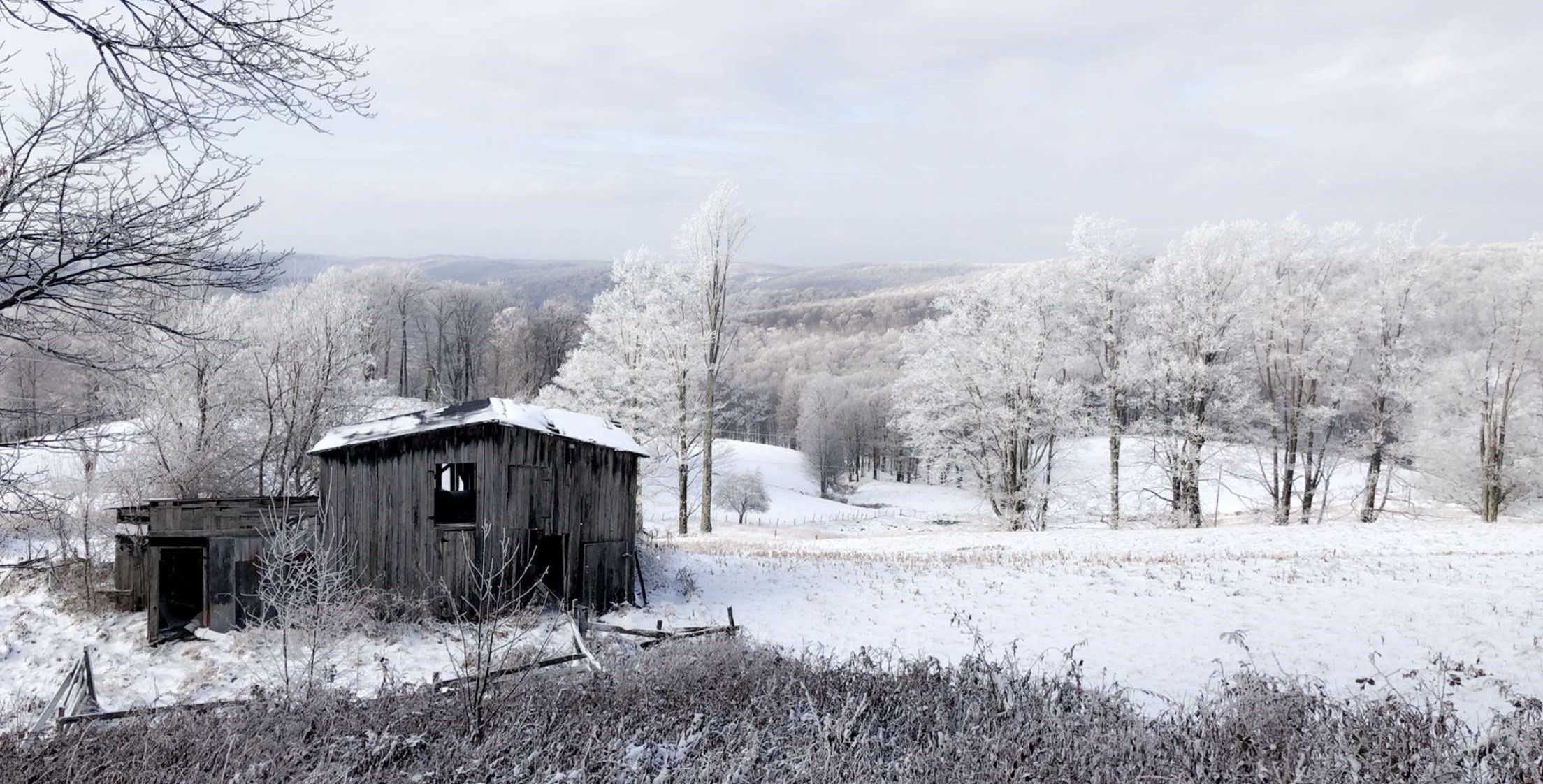 Snowy landscape with a barn in Pickens, West Virginia